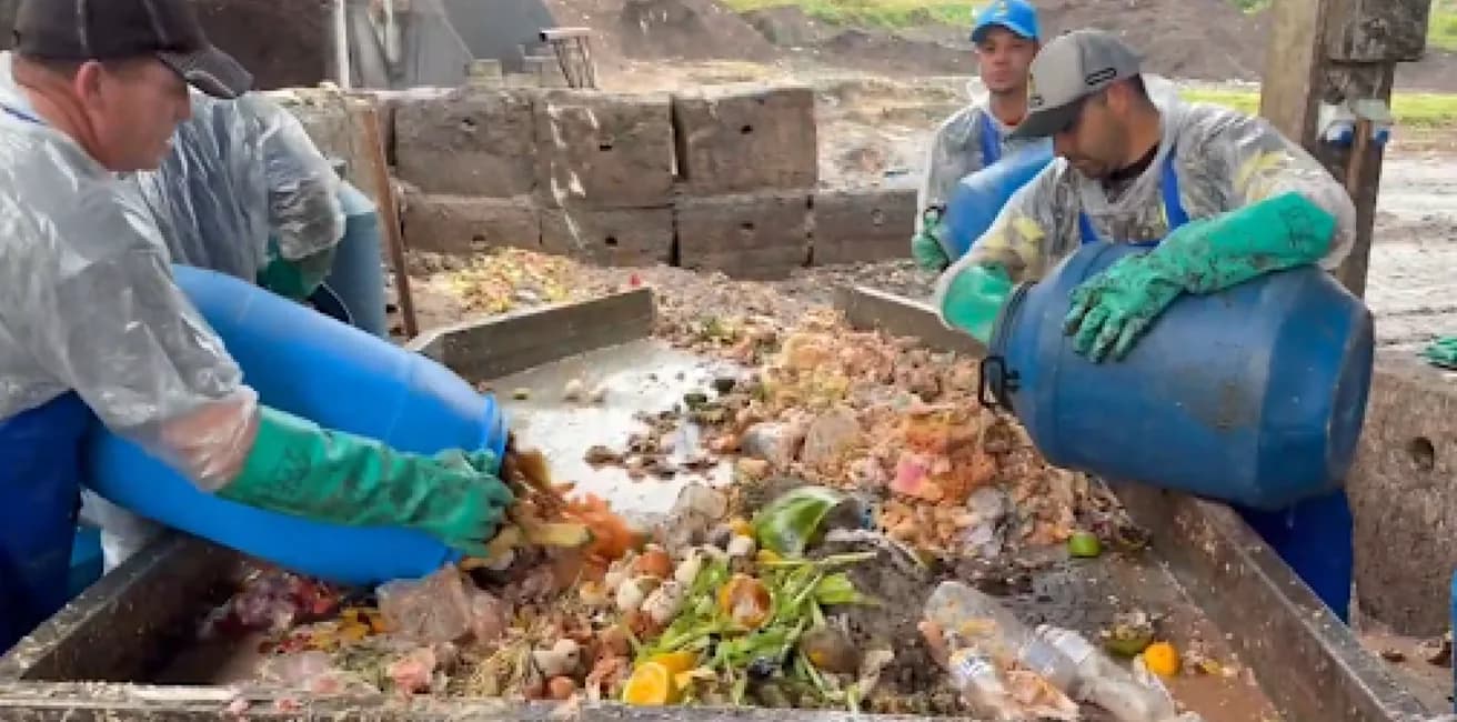 Workers handling organic waste for composting