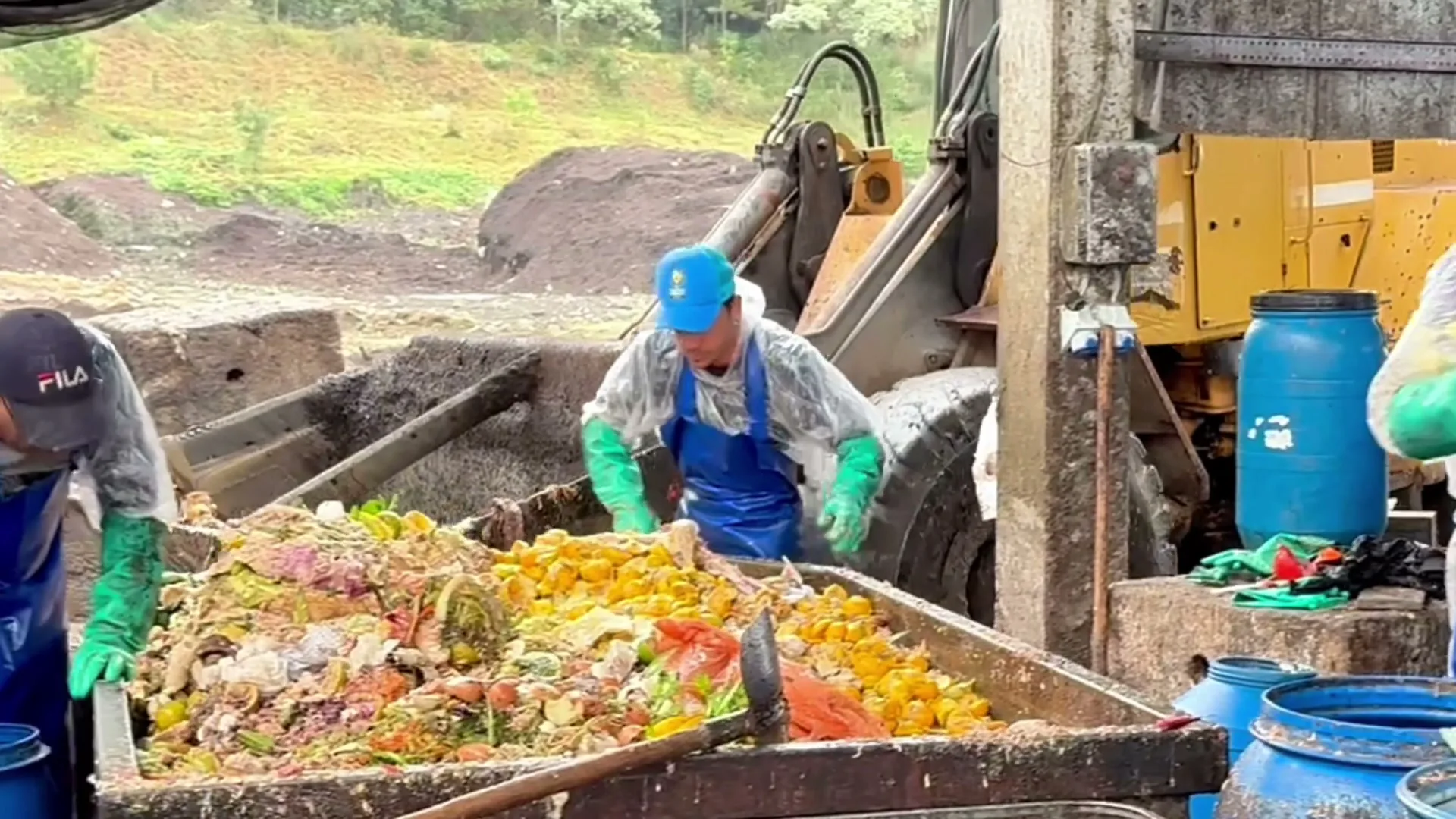 Workers tipping organic waste onto the sorting table